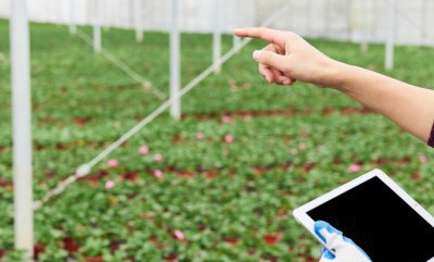 首页| w66集团中国最老牌官方网站