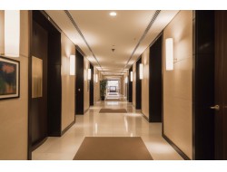 首页| w66集团中国最老牌官方网站