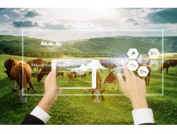 首页| w66集团中国最老牌官方网站